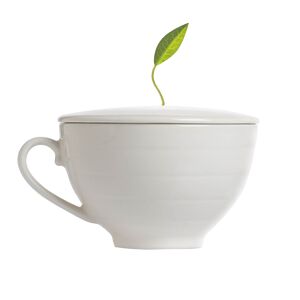 TEA FORTE CUP TEA BONE WHITE